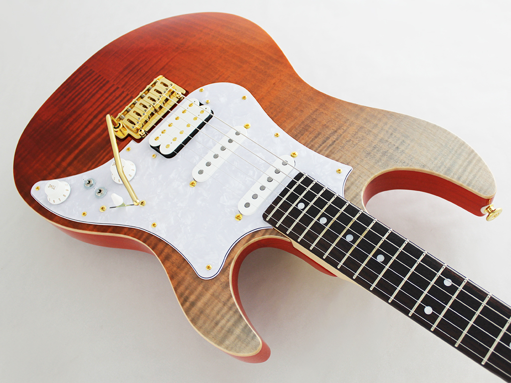 販売卸値 FGN EOS fujigen expert os エレキギター