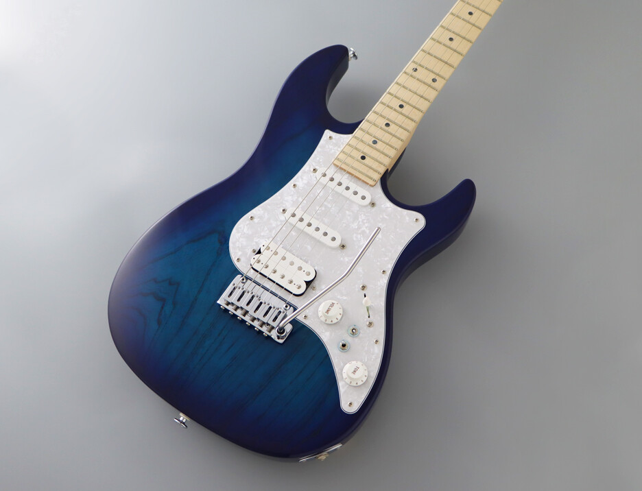 EOS2-ASH-M / FGN Guitars