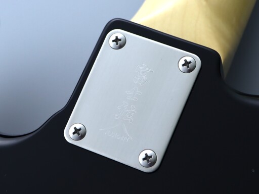 Stainless Steel Neck Plate and Screws