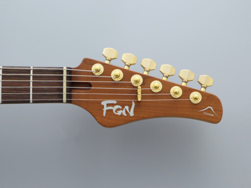 img_2994_1-eilt-ntf-fgn-magnum-lock-tuner