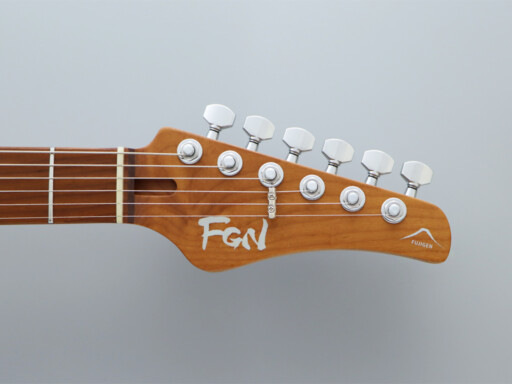 img_3032_1-eilt-vnt-fgn-magnum-lock-tuner