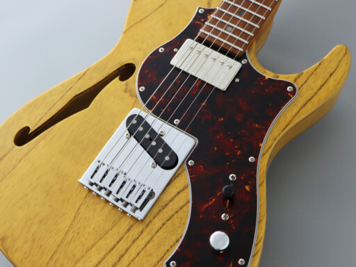 img_3035_1-eilt-vnt-humbucker-coil-pu