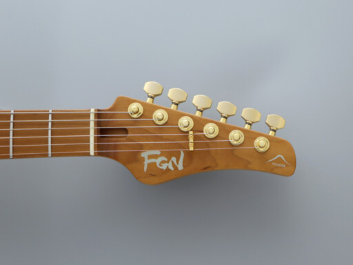 img_7315-eos2-ew4-gotoh-magnum-lock-tuners