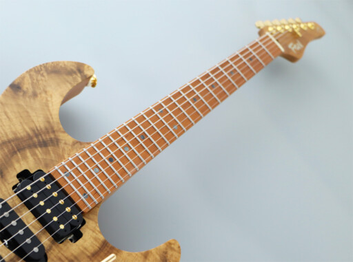 img_7354-eos2-ew4-roasted-maple-24f-neck-fgbrd