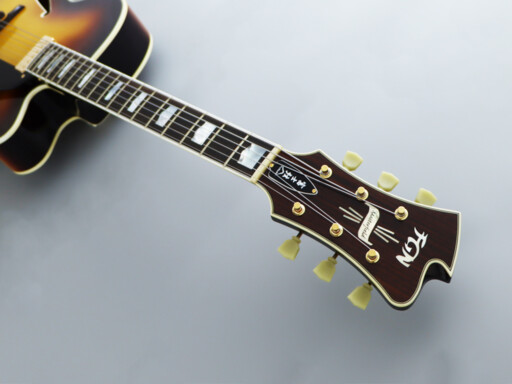 img_8333_1-mfa-fp-vintage-style-gotoh-tuners
