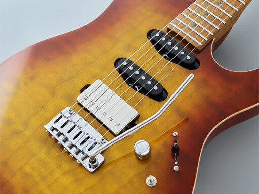 img_0579_1-eos2-du-ew3-ctb-pickup-humbucker